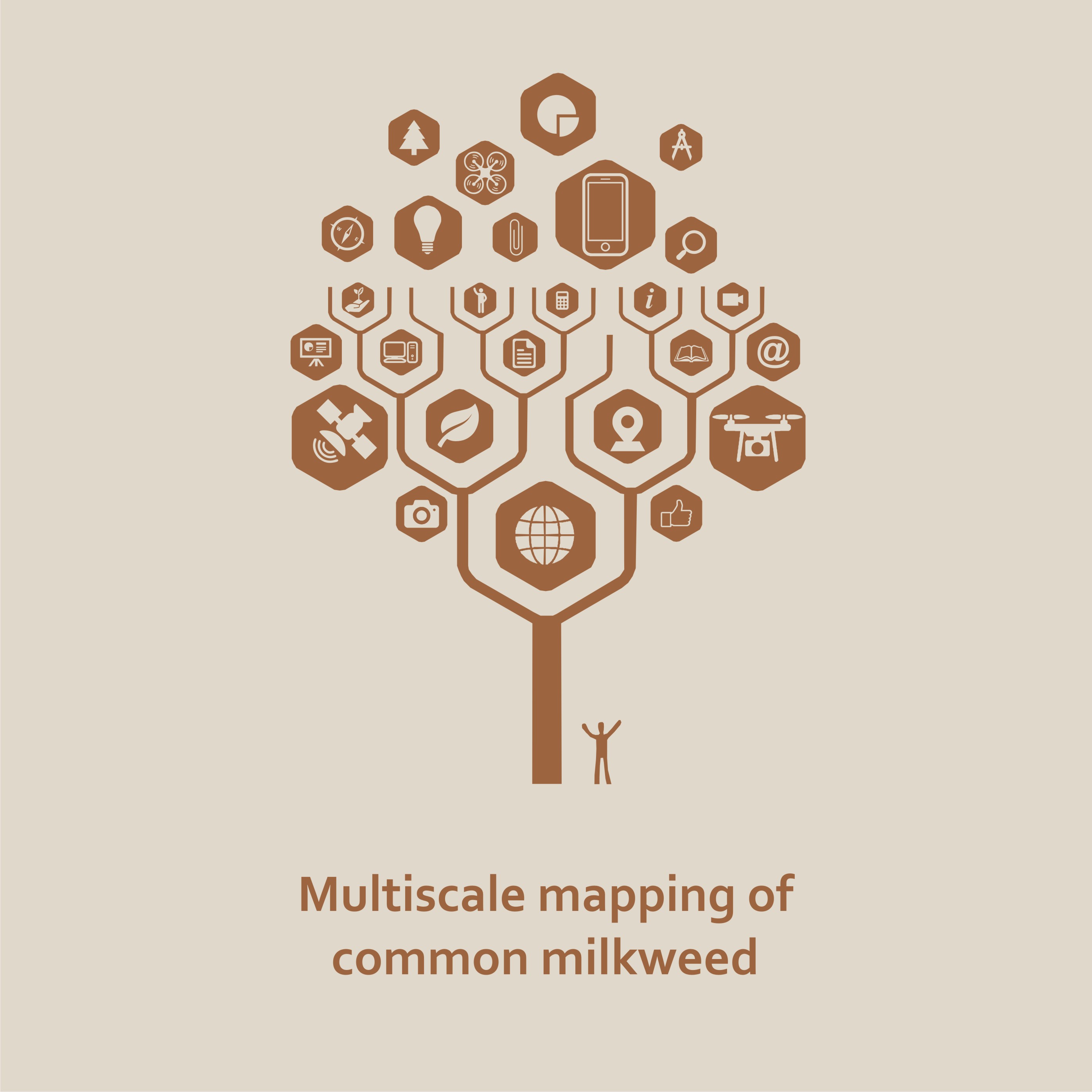 Invasive plnts mapping